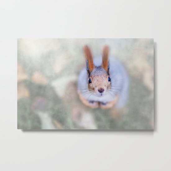 Squirrel looks at you from the bottom up Metal Print
