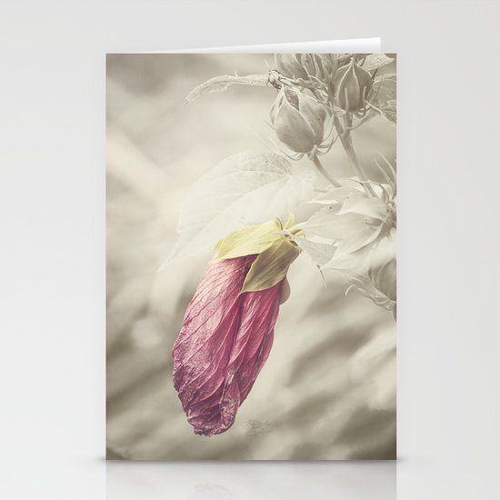 Beauty knows no Age Stationery Cards