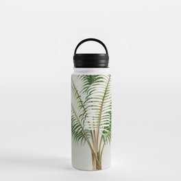 Vintage Botanical Print - Ceroxylon Palm Tree Illustration Water Bottle