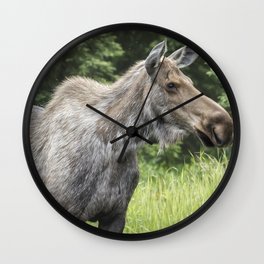 Insect Repellent Needed Wall Clock