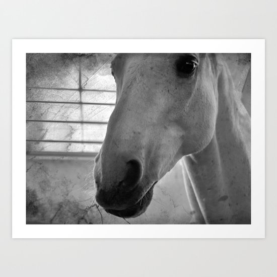 Horse Art Print