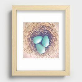 Blue Eggs Recessed Framed Print