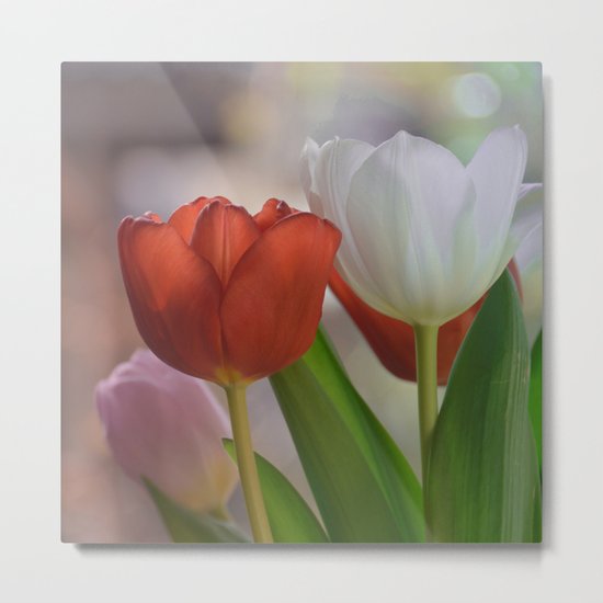 Two Tulips on a pastel background Metal Print