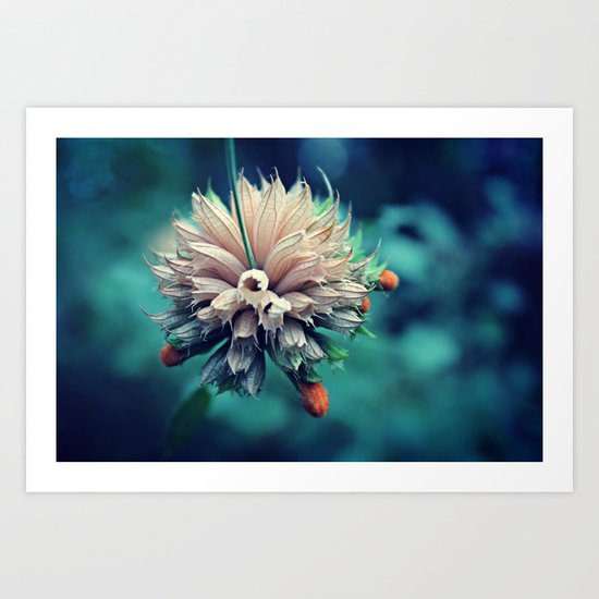 Spring Flower 10 Art Print