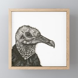 Black Vulture Framed Mini Art Print