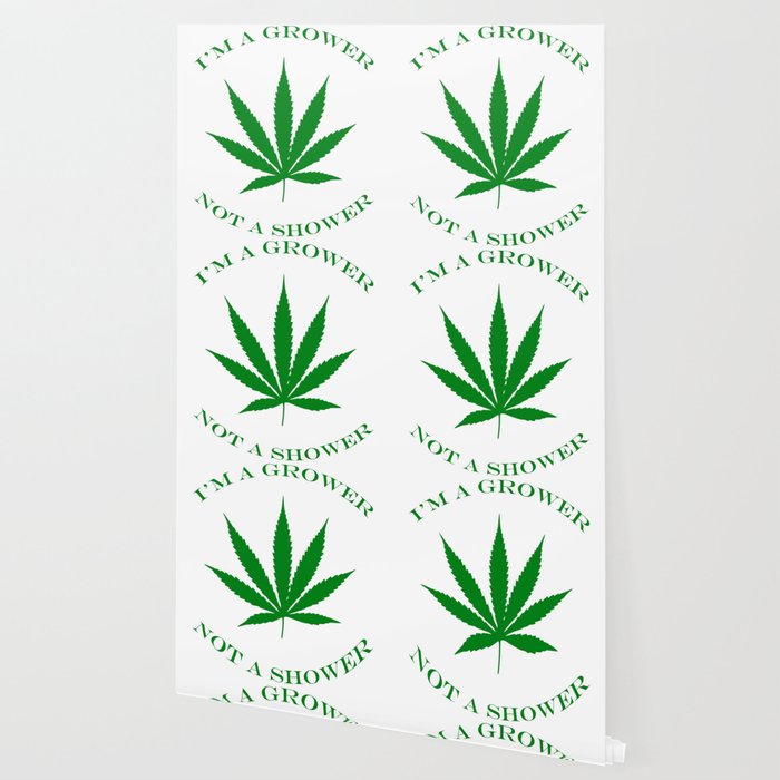 Marijuana Dispensary Legal Weed