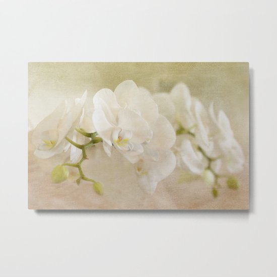White Orchids Metal Print