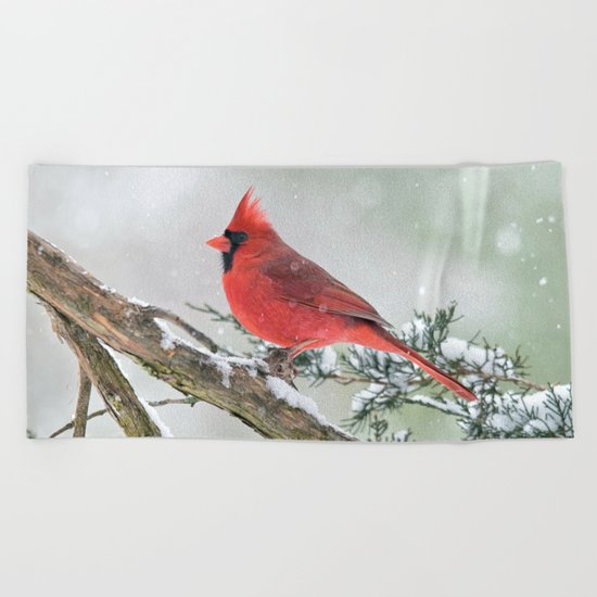 Cardinal Holding Steady in the Storm Beach Towel
