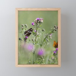 Butterfly in focus Framed Mini Art Print