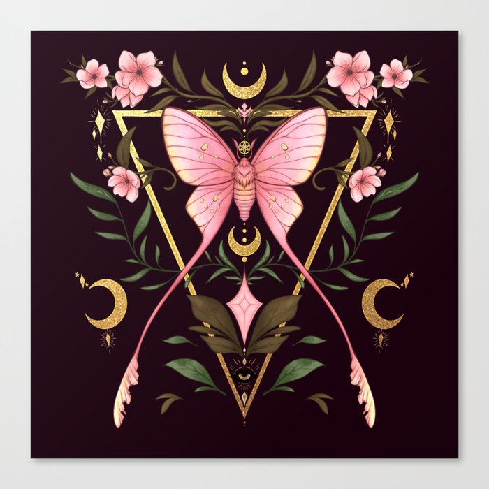 Pink Silk Moth Canvas Print