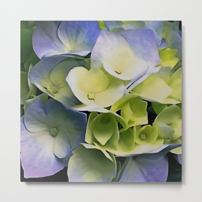 Blue And Yellow Hortensia Artisitic Blossom Metal Print