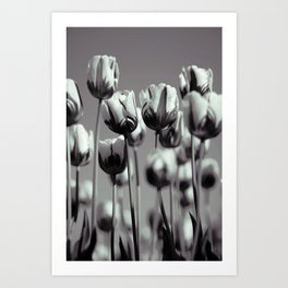 Floral Collection (black edition) Art Print