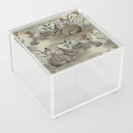 Woodland Fairies with Bunnies, Toads, Mice & Birds Acrylic Box