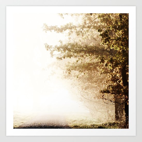 Pathes Art Print