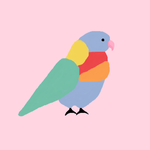 Miranda Lorikeet