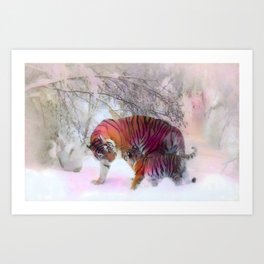 Winter Tiger Art Print