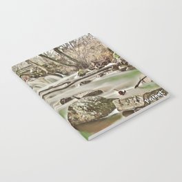 Waterfall River 2 Notebook