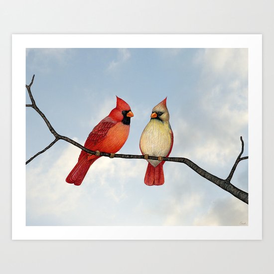 cardinal couple Art Print