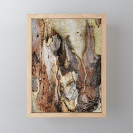 Colour of Tree bark Framed Mini Art Print