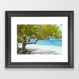 Paradise Beneath The Divi Tree - Aruba Framed Art Print