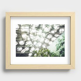 Heliconius sara vs. The Faux Rainforest Recessed Framed Print