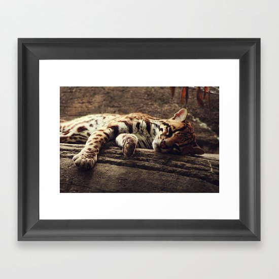 ocelot Framed Art Print