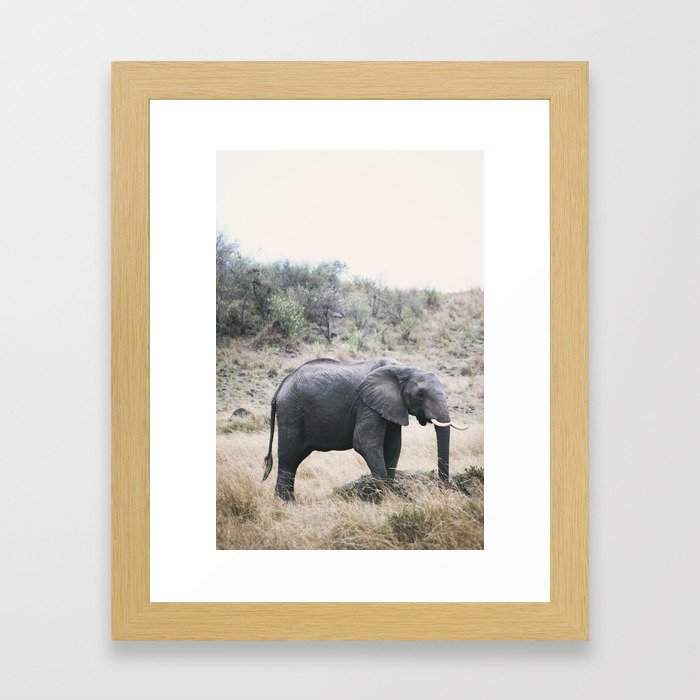 Momma elephant Framed Art Print