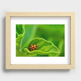 Ladybug Recessed Framed Print