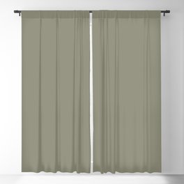Pigeon Gray Green Solid Color Pairs Farrow and Ball 2021 Color of the Year Treron 292 Blackout Curtain