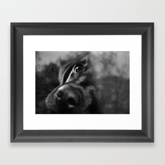 dog Framed Art Print