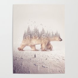 polar winter II Poster