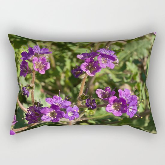 Notch-Leaved Phacelia - Desert Wildflower Rectangular Pillow