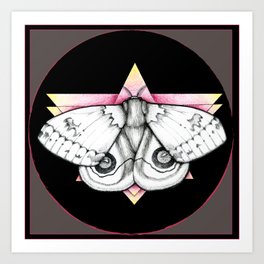Automeris io - Io Moth Art Print