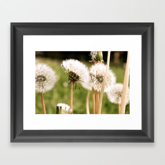 Lion's Den Framed Art Print