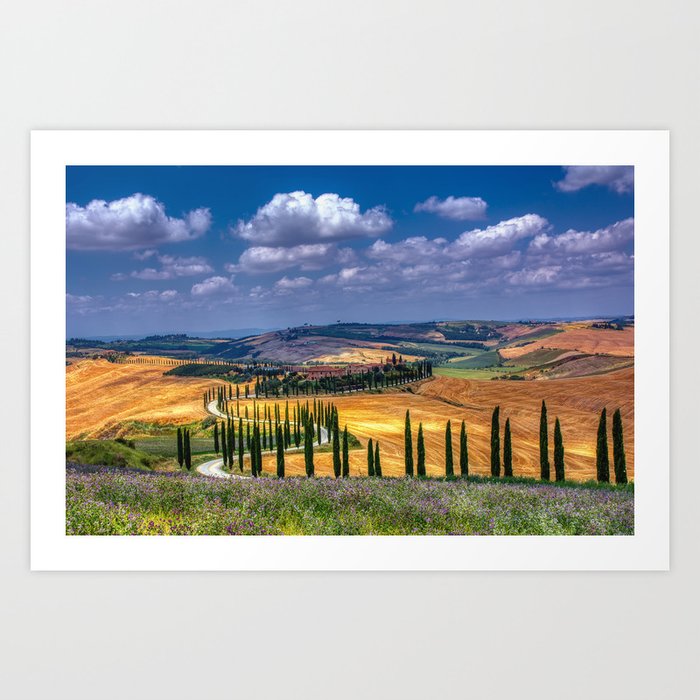 Cypress trees and meadow with typical tuscan house Art Print