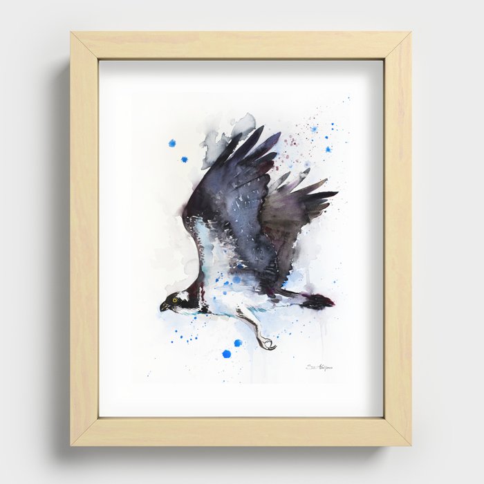Osprey Recessed Framed Print