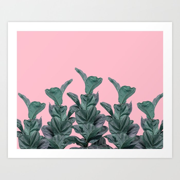 Rubber trees with pink Art Print