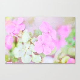 Soft Pinkness Texture Canvas Print