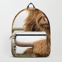 Hamish the cow Backpack | Oxen, Nature, Horns, Beef, Horn, Furry, Cattle, Highlandcow, Fur, Wild 