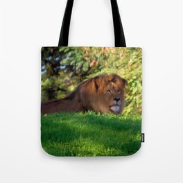King of the Jungle - Lion deep in thought Tote Bag