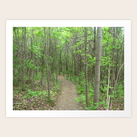 Go for a Walk Art Print