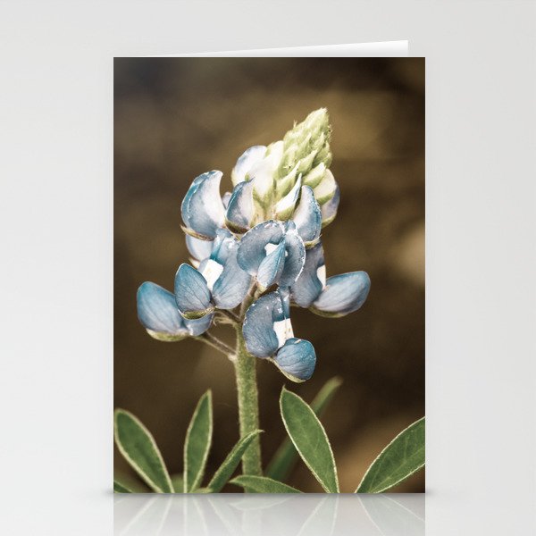 Texas Blooms Stationery Cards