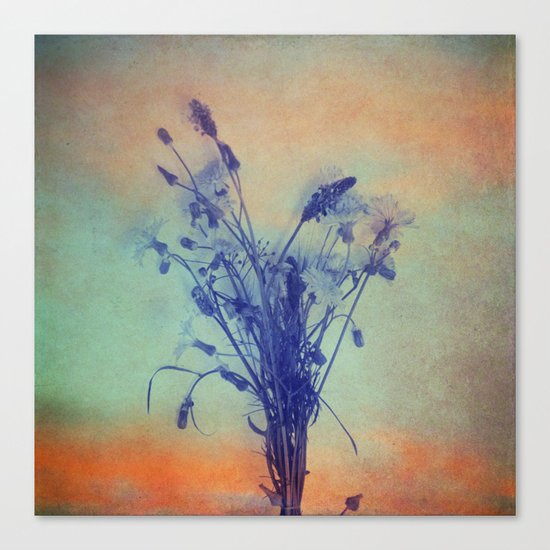 Small Beauties of Nature Canvas Print