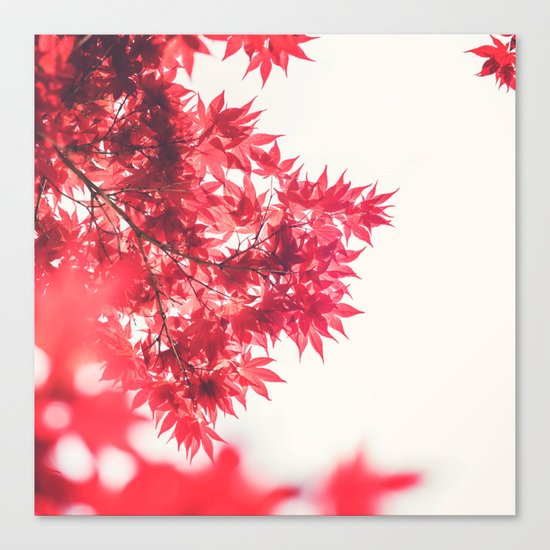 Autumn Leaves Canvas Print