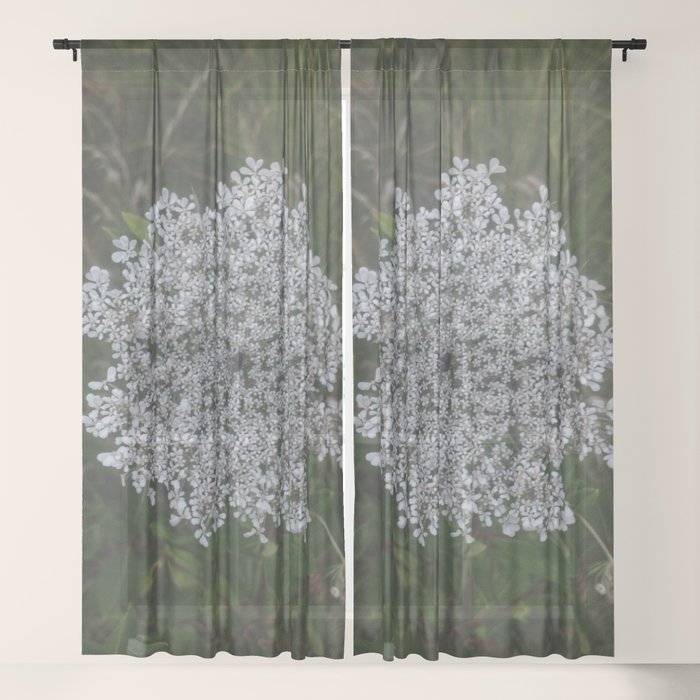 Queen Anne S Lace Original Sheer Curtain By Oliviahathaway Society6