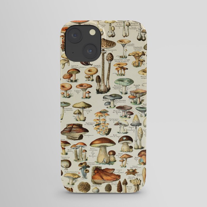 Vintage Mushroom & Fungi Chart by Adolphe Millot iPhone Case