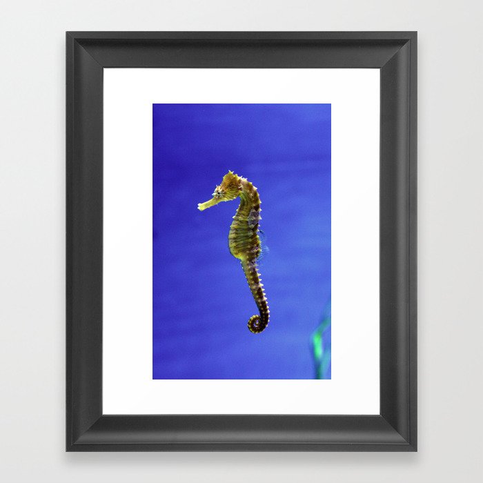 The Darling Seahorse Framed Art Print