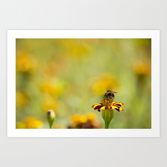 Buzz Art Print