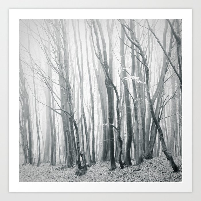 fog in the forest Art Print