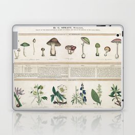 Poisonous Mushrooms, Irritating Poisons Laptop Skin